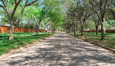 Shaded tree-lined path in Sugar Land, Texas